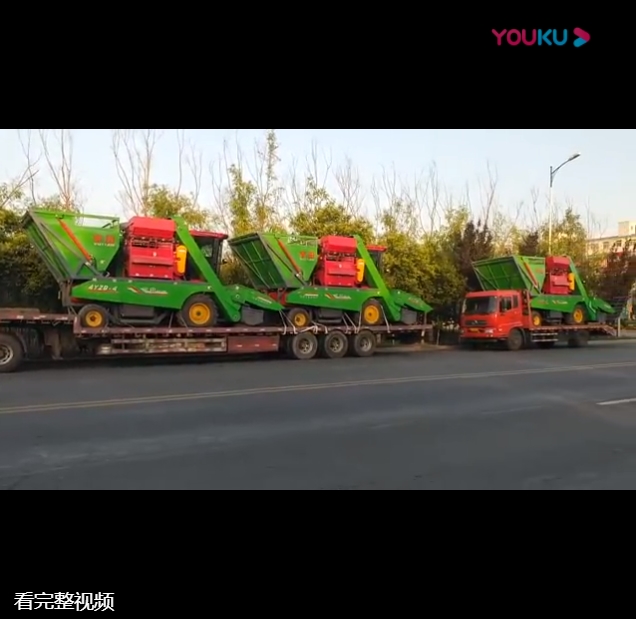 山(shan)東(dong)五(wu)車連髮視頻
