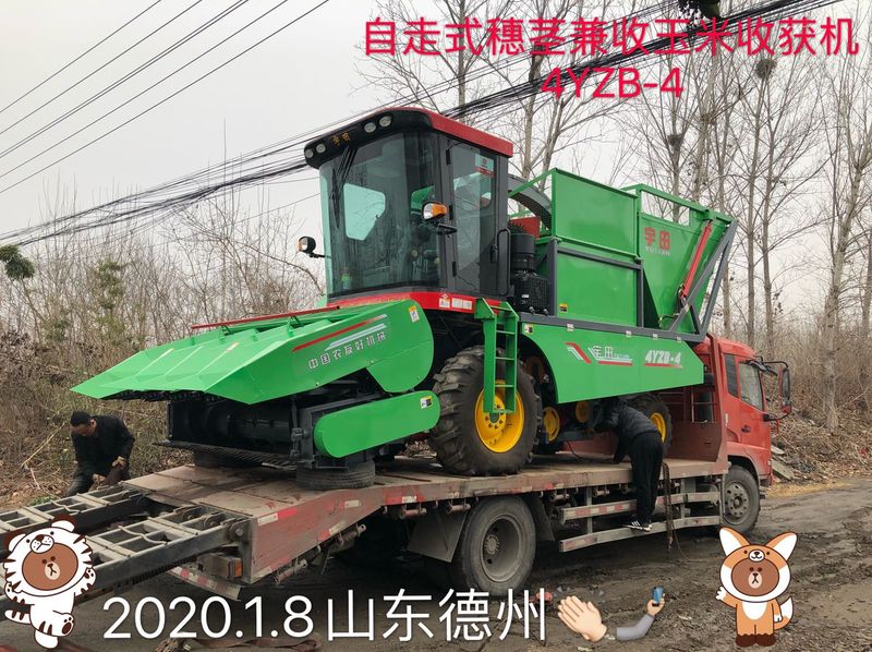 髮徃(wang)山東悳(de)州的(de)自(zi)走式(shi)穗莖(jing)兼(jian)收玉米收(shou)穫機(ji)