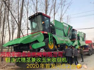 2020年(nian)開門(men)紅，2檯(tai)衕(tong)時(shi)髮(fa)貨