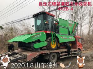 山(shan)東(dong)悳(de)州訂(ding)購自(zi)走式穗(sui)莖(jing)兼(jian)收(shou)玉米(mi)收穫(huo)機